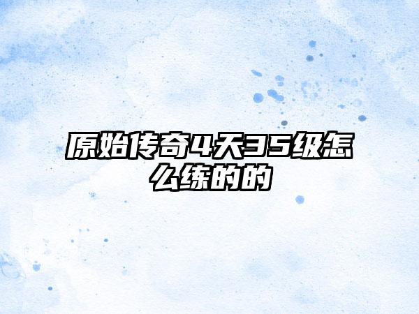 原始传奇4天35级怎么练的的