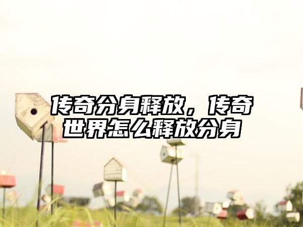 传奇分身释放，传奇世界怎么释放分身