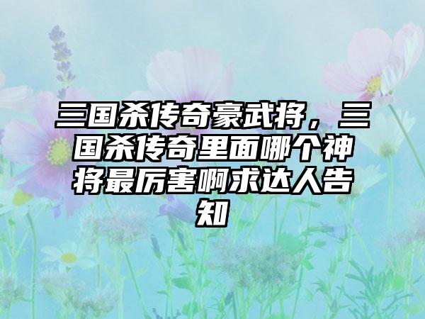 三国杀传奇豪武将，三国杀传奇里面哪个神将最厉害啊求达人告知