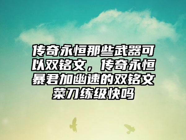 传奇永恒那些武器可以双铭文，传奇永恒暴君加幽速的双铭文菜刀练级快吗