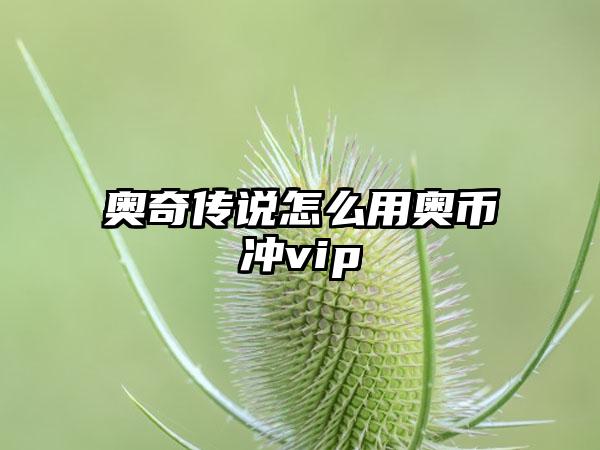 奥奇传说怎么用奥币冲vip