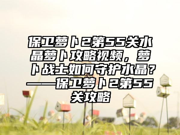 保卫萝卜2第55关水晶萝卜攻略视频，萝卜战士如何守护水晶？——保卫萝卜2第55关攻略