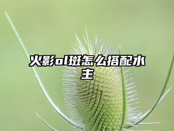 火影ol斑怎么搭配水主