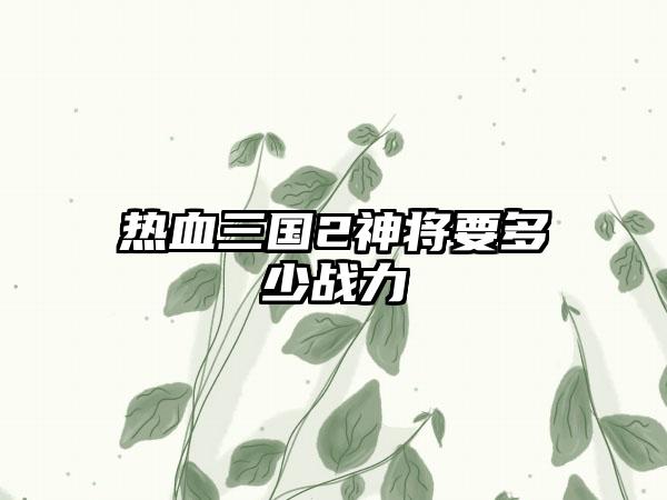 热血三国2神将要多少战力