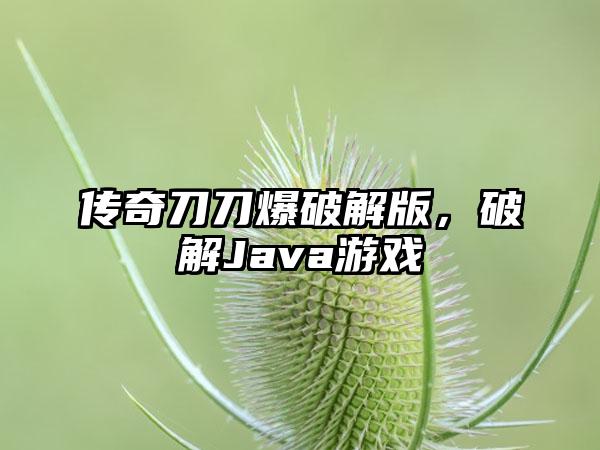 传奇刀刀爆破解版，破解Java游戏