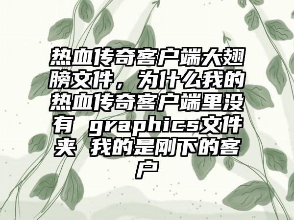热血传奇客户端大翅膀文件，为什么我的热血传奇客户端里没有 graphics文件夹 我的是刚下的客户