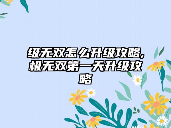 级无双怎么升级攻略,极无双第一天升级攻略