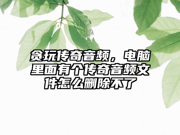 贪玩传奇音频，电脑里面有个传奇音频文件怎么删除不了