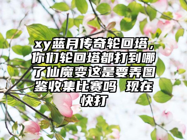 xy蓝月传奇轮回塔，你们轮回塔都打到哪了仙魔变这是要弄图鉴收集比赛吗 现在快打