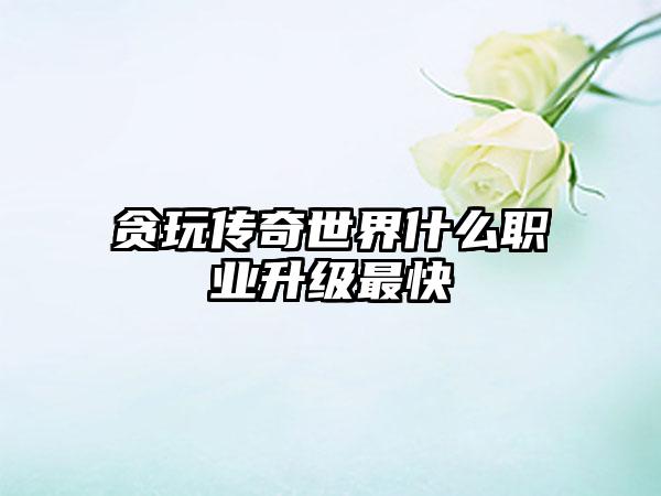 贪玩传奇世界什么职业升级最快
