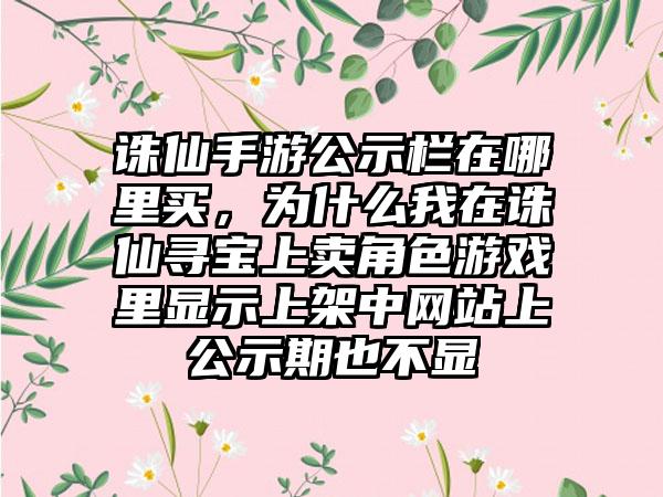 诛仙手游公示栏在哪里买，为什么我在诛仙寻宝上卖角色游戏里显示上架中网站上公示期也不显