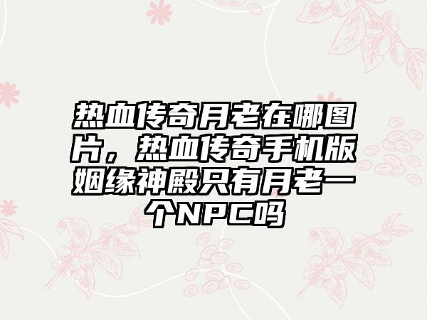 热血传奇月老在哪图片，热血传奇手机版姻缘神殿只有月老一个NPC吗