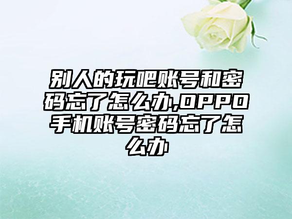 别人的玩吧账号和密码忘了怎么办,OPPO手机账号密码忘了怎么办