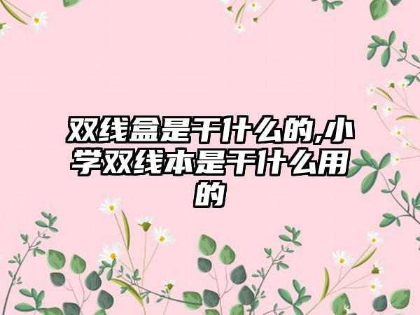 双线盒是干什么的,小学双线本是干什么用的