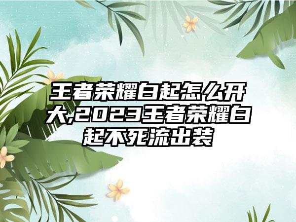 王者荣耀白起怎么开大,2023王者荣耀白起不死流出装