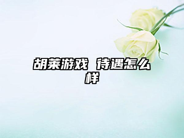 胡莱游戏 待遇怎么样