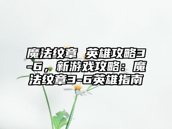 魔法纹章 英雄攻略3-6，新游戏攻略：魔法纹章3-6英雄指南