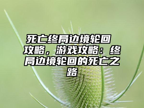 死亡终局边境轮回 攻略，游戏攻略：终局边境轮回的死亡之路