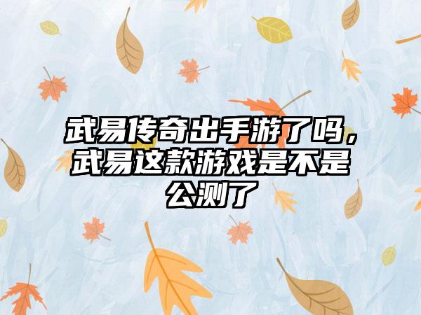 武易传奇出手游了吗，武易这款游戏是不是公测了