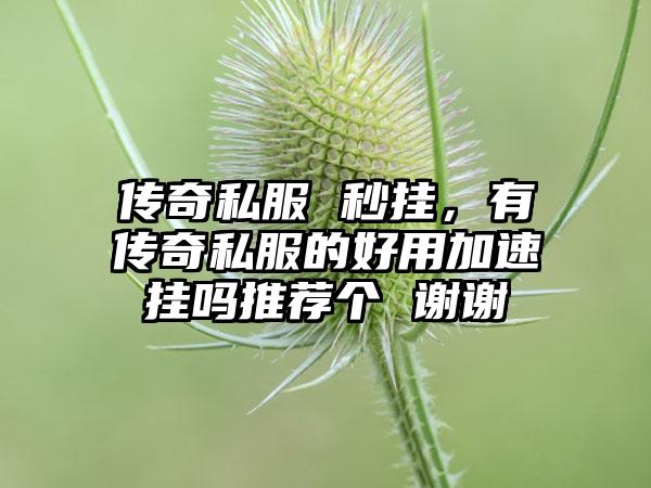 传奇私服 秒挂，有传奇私服的好用加速挂吗推荐个 谢谢