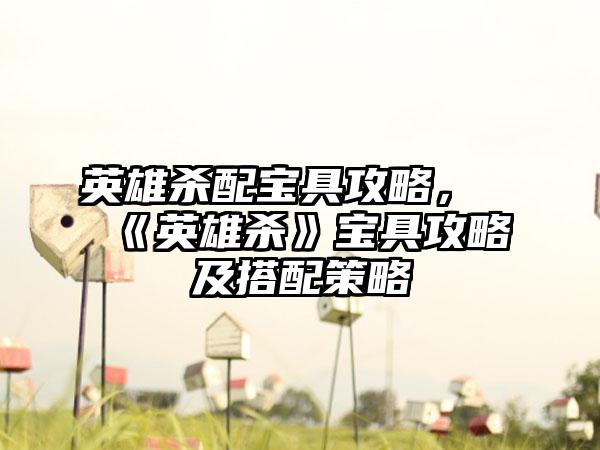 英雄杀配宝具攻略，《英雄杀》宝具攻略及搭配策略