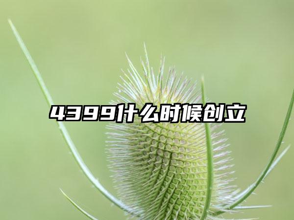 4399什么时候创立