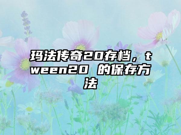 玛法传奇20存档，tween20 的保存方法