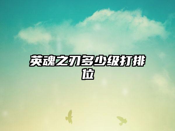 英魂之刃多少级打排位