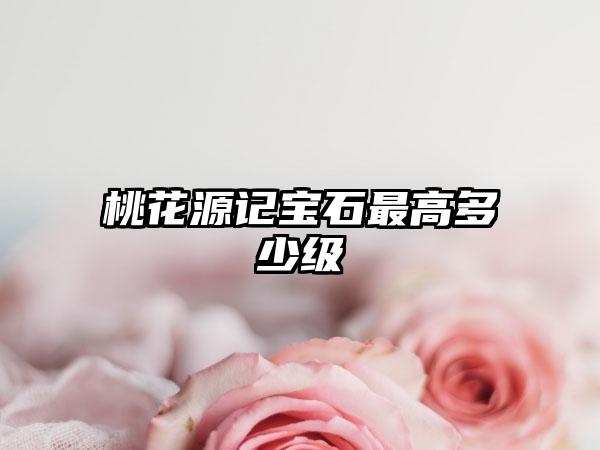 桃花源记宝石最高多少级