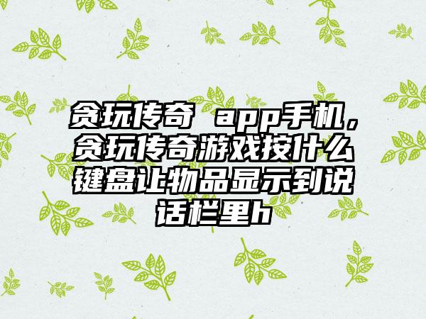 贪玩传奇 app手机，贪玩传奇游戏按什么键盘让物品显示到说话栏里h