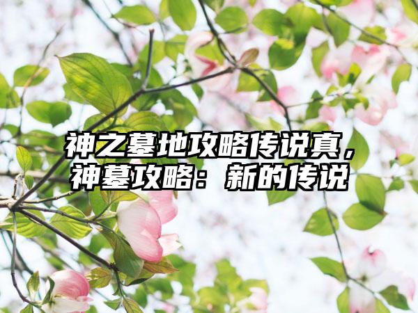 神之墓地攻略传说真，神墓攻略：新的传说