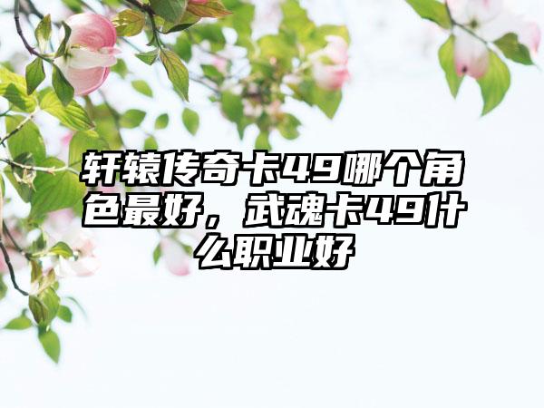 轩辕传奇卡49哪个角色最好，武魂卡49什么职业好