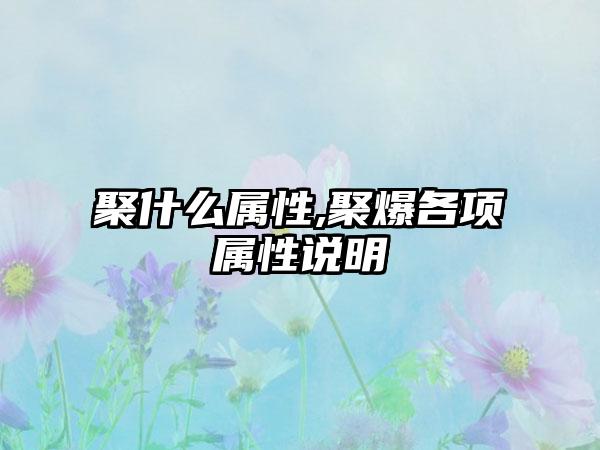聚什么属性,聚爆各项属性说明