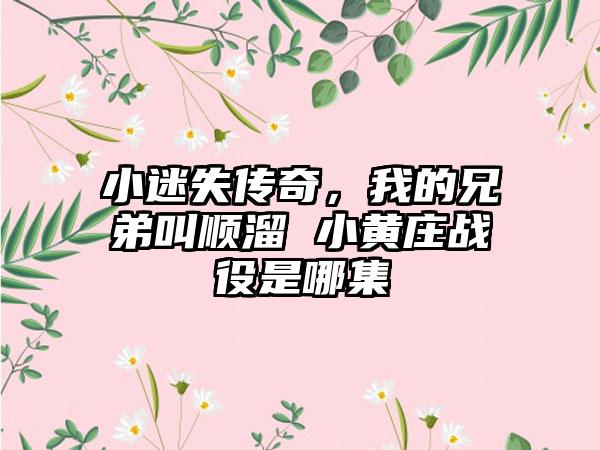 小迷失传奇，我的兄弟叫顺溜 小黄庄战役是哪集