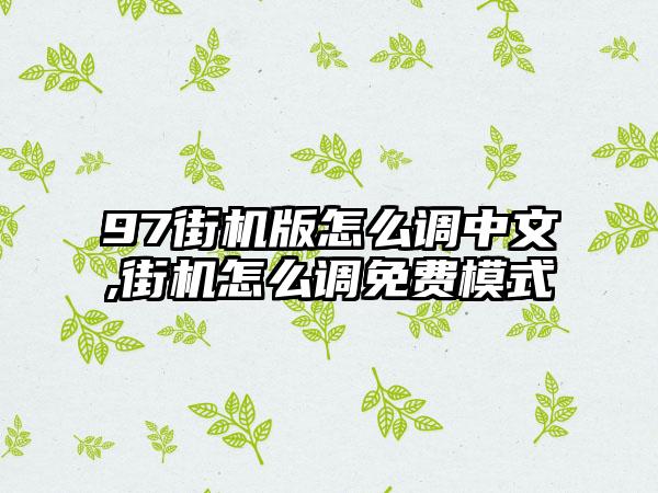 97街机版怎么调中文,街机怎么调免费模式