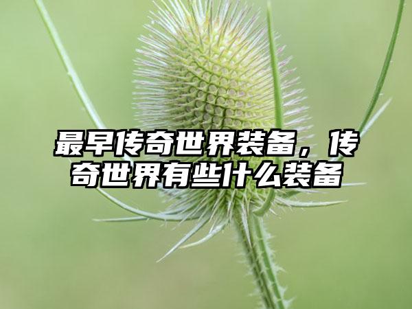 最早传奇世界装备，传奇世界有些什么装备