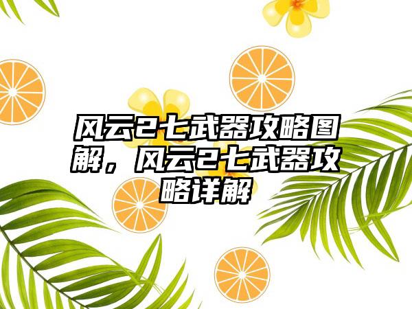 风云2七武器攻略图解，风云2七武器攻略详解