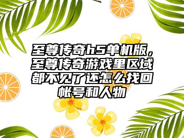 至尊传奇h5单机版，至尊传奇游戏里区域都不见了还怎么找回帐号和人物