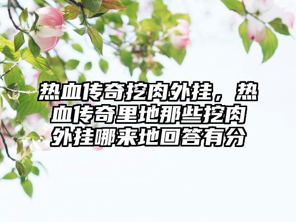 热血传奇挖肉外挂，热血传奇里地那些挖肉外挂哪来地回答有分