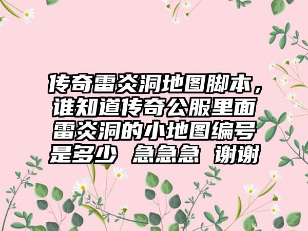 传奇雷炎洞地图脚本，谁知道传奇公服里面雷炎洞的小地图编号是多少 急急急 谢谢
