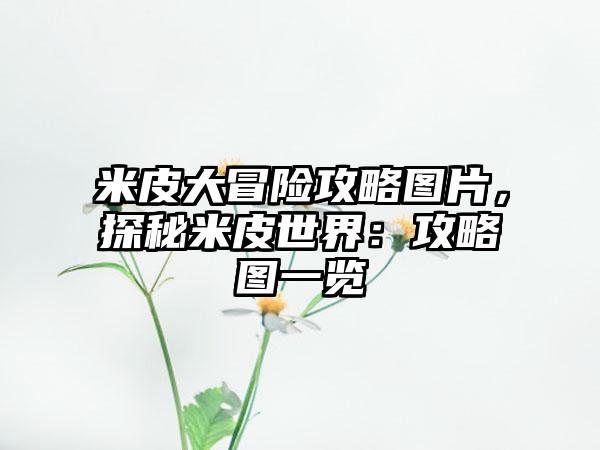 米皮大冒险攻略图片，探秘米皮世界：攻略图一览