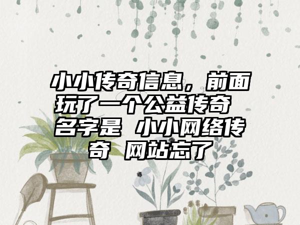 小小传奇信息，前面玩了一个公益传奇 名字是 小小网络传奇 网站忘了