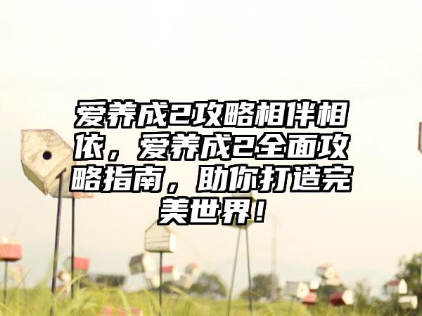 爱养成2攻略相伴相依，爱养成2全面攻略指南，助你打造完美世界！