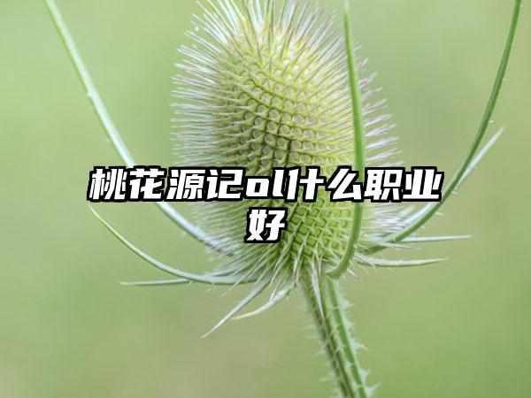 桃花源记ol什么职业好