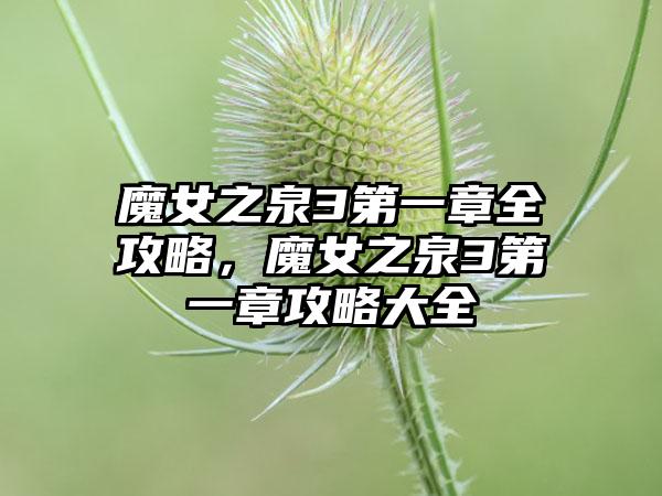 魔女之泉3第一章全攻略，魔女之泉3第一章攻略大全