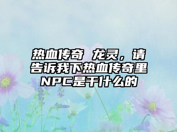 热血传奇 龙灵，请告诉我下热血传奇里NPC是干什么的