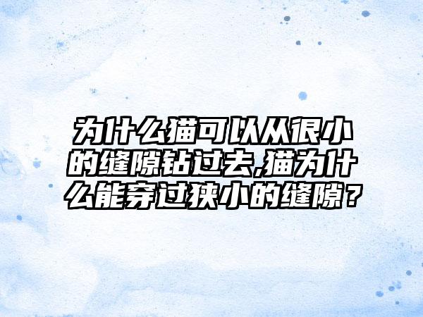 为什么猫可以从很小的缝隙钻过去,猫为什么能穿过狭小的缝隙？