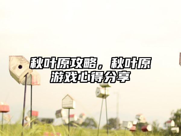 秋叶原攻略，秋叶原游戏心得分享