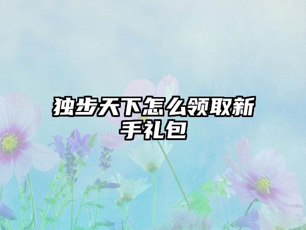 独步天下怎么领取新手礼包