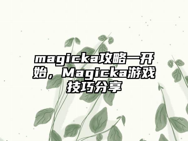 magicka攻略一开始，Magicka游戏技巧分享